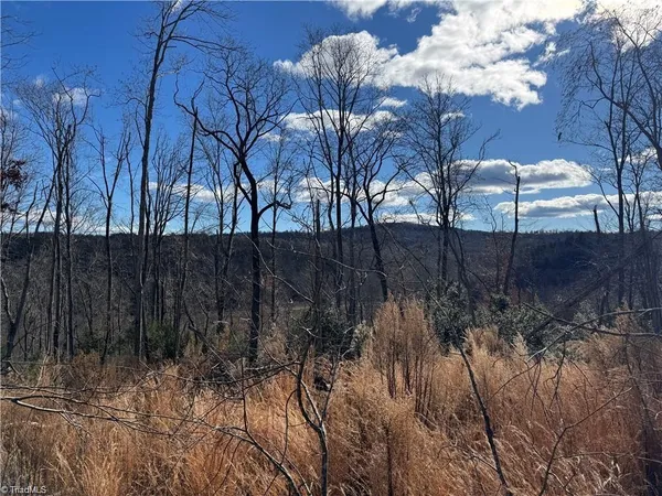 $110,000 | 0 Billings Hill Church Road, Traphill, NC 28685