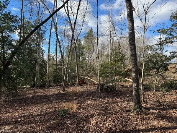 $110,000 | 0 Billings Hill Church Road, Traphill, NC 28685