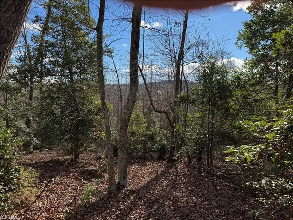 $110,000 | 0 Billings Hill Church Road, Traphill, NC 28685