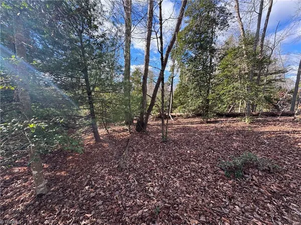 $110,000 | 0 Billings Hill Church Road, Traphill, NC 28685