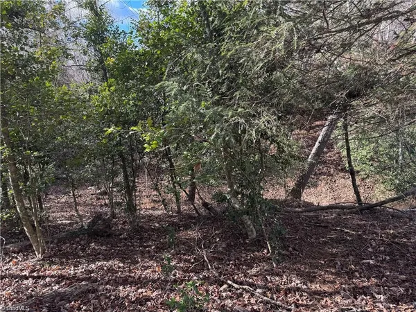 $110,000 | 0 Billings Hill Church Road, Traphill, NC 28685