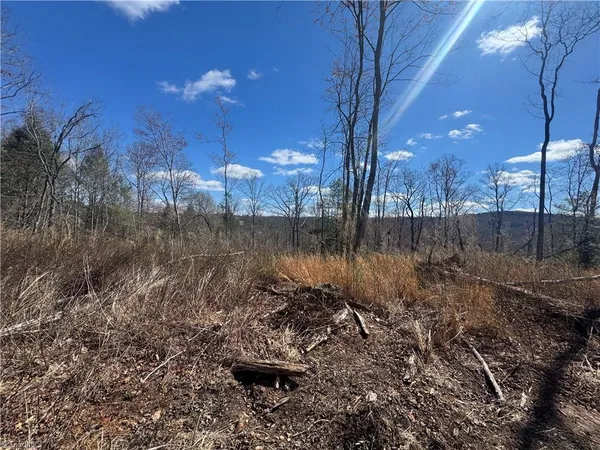 $110,000 | 0 Billings Hill Church Road, Traphill, NC 28685