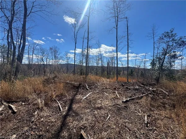 $110,000 | 0 Billings Hill Church Road, Traphill, NC 28685