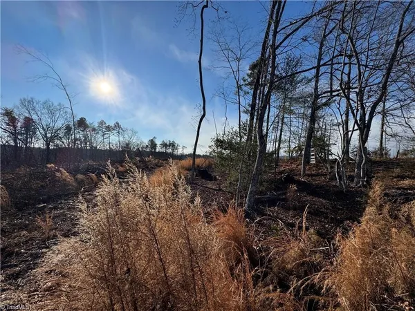 $110,000 | 0 Billings Hill Church Road, Traphill, NC 28685