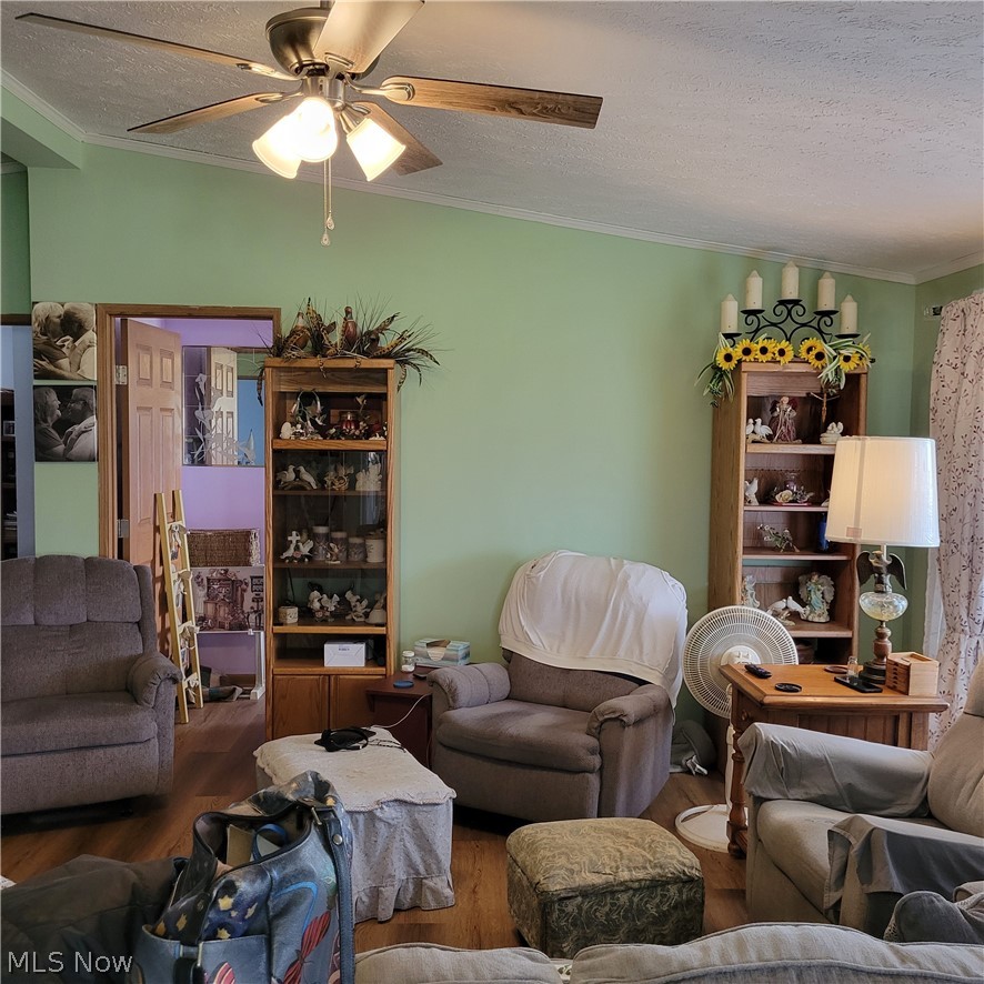 9531 McCormick Road Southwest Newcomerstown, OH 43832 - Photo 11 of 44 Living room with a textured ceiling, dark hardwood / wood-style floors, ceiling fan, and ornamental molding