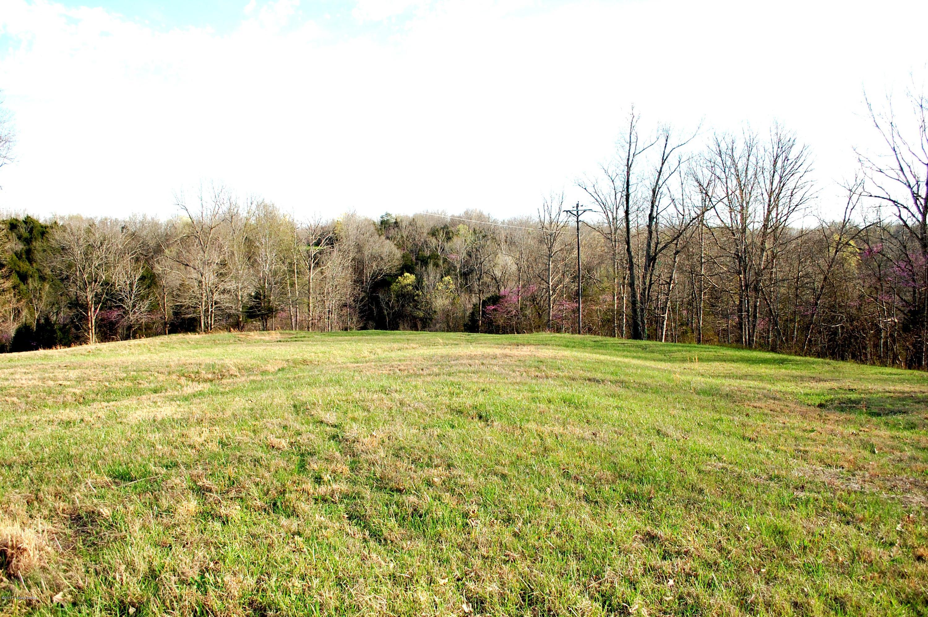 7600 Briar Ridge Road Mount Eden, KY 40046 - Photo 3 of 6 2