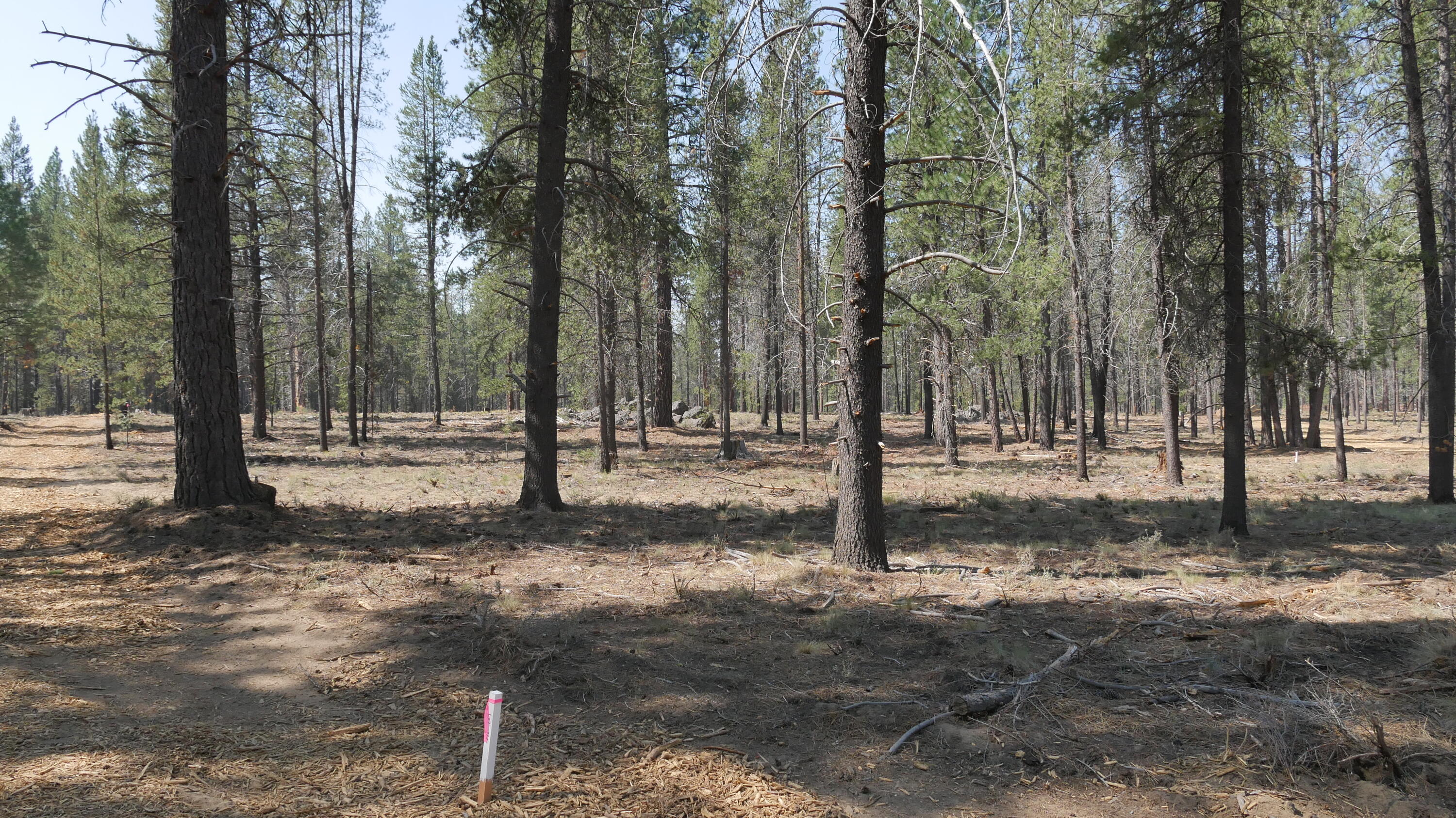 Lot 373 Mirror Rock Loop Bend, OR 97707 - Photo 3 of 27 1 - 373 left