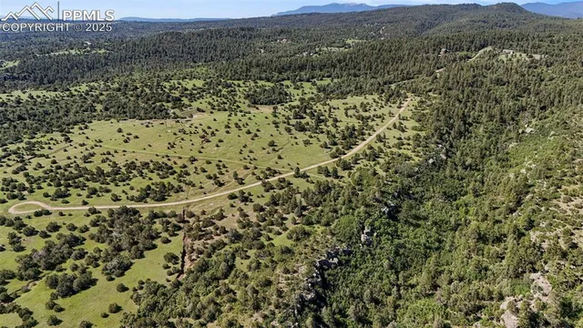 a view of a field with a lush green field