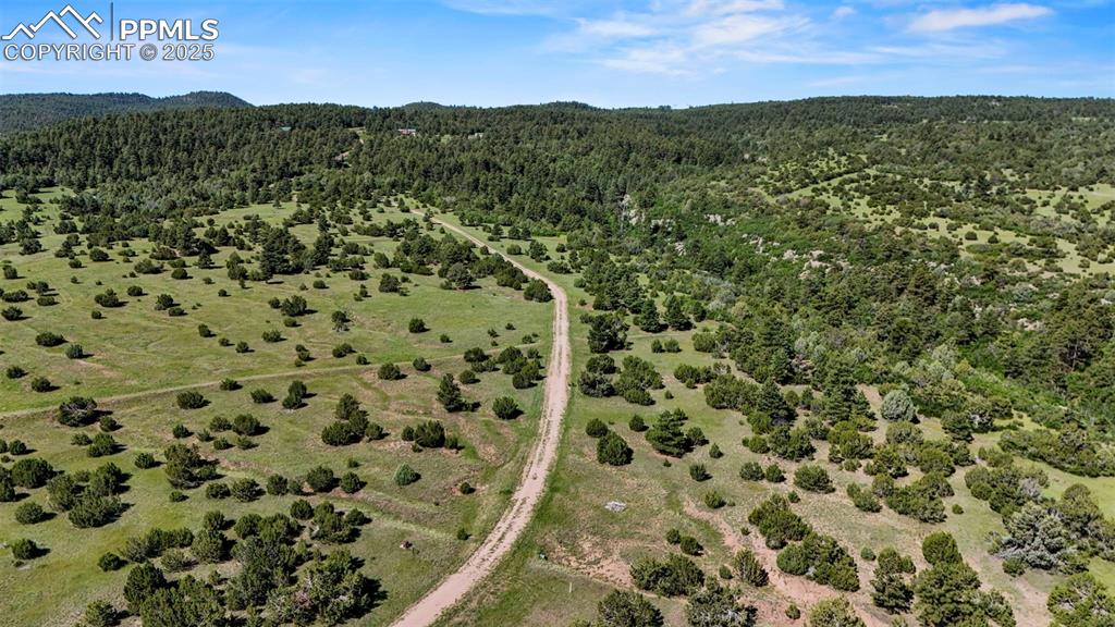 Old Homestead Lane Beulah, CO 81023 - Photo 12 of 21 a view of a field with a mountain in the background