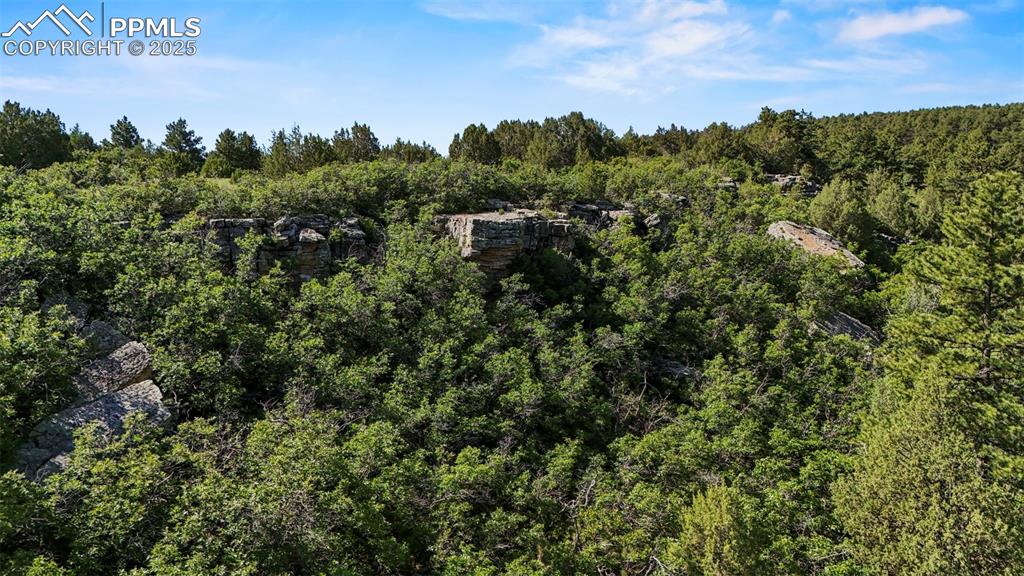 Old Homestead Lane Beulah, CO 81023 - Photo 15 of 21 an aerial view of a house with a yard