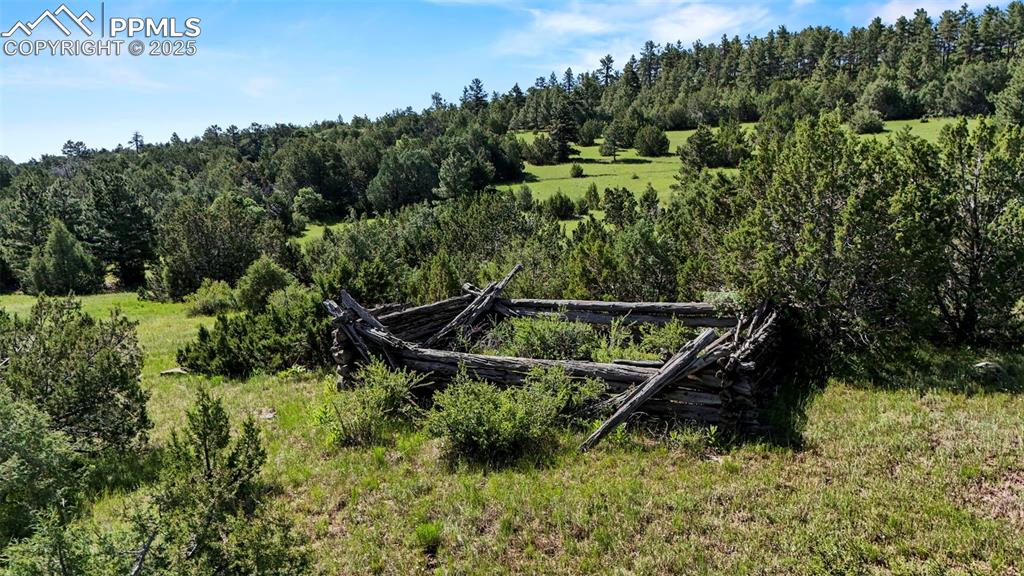 Old Homestead Lane Beulah, CO 81023 - Photo 17 of 21