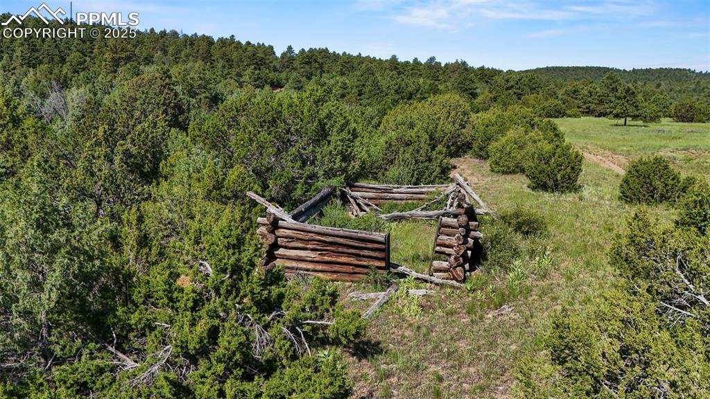 Old Homestead Lane Beulah, CO 81023 - Photo 18 of 21 a view of a green field with mountains in the background