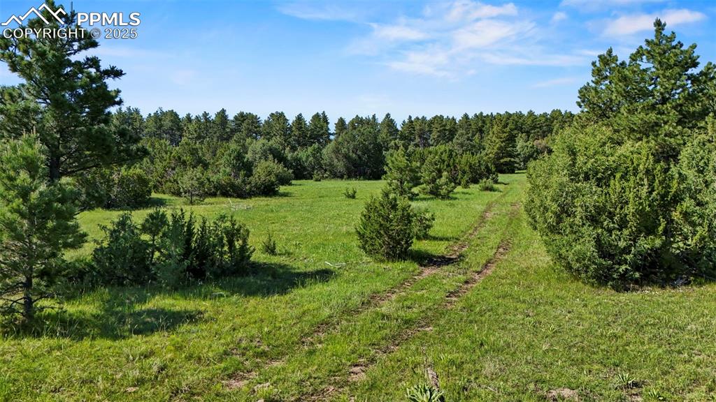 Old Homestead Lane Beulah, CO 81023 - Photo 19 of 21 a view of a lush green space