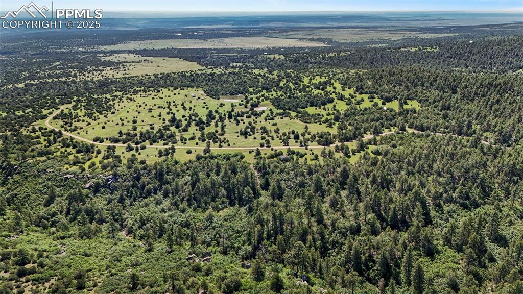 Old Homestead Lane Beulah, CO 81023 - Photo 20 of 21 a view of a pathway with a yard
