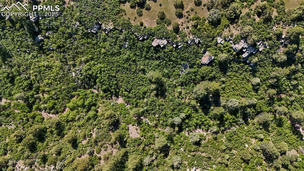 Old Homestead Lane Beulah, CO 81023 - Photo 21 of 21