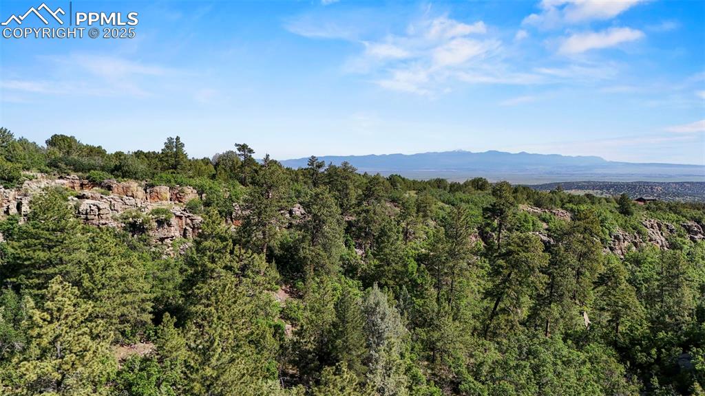 Old Homestead Lane Beulah, CO 81023 - Photo 3 of 21 a view of a city with lush green forest