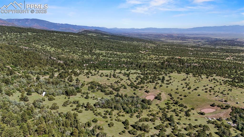 Old Homestead Lane Beulah, CO 81023 - Photo 4 of 21 a view of a city with lush green forest