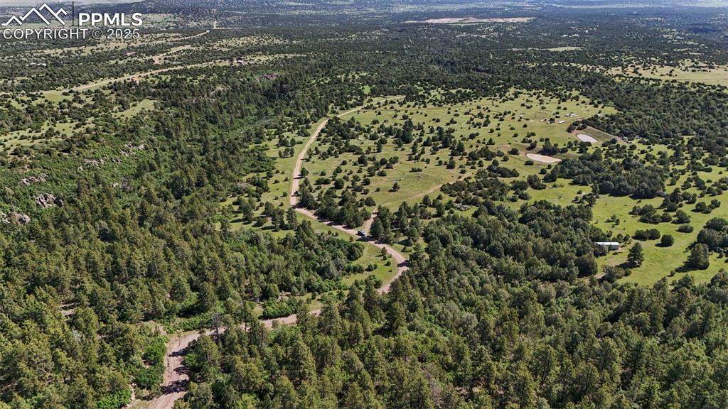 Old Homestead Lane Beulah, CO 81023 - Photo 6 of 21 a view of a yard with a tree