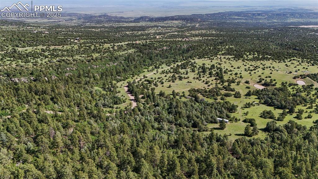 Old Homestead Lane Beulah, CO 81023 - Photo 9 of 21 a view of a city with lush green forest