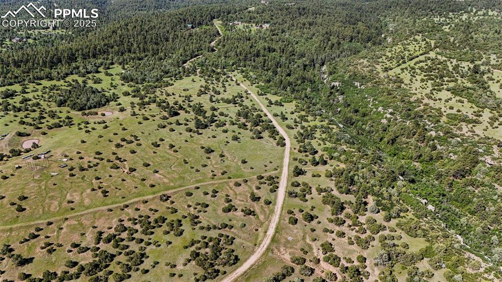 Old Homestead Lane Beulah, CO 81023 - Photo 10 of 21 view of a yard