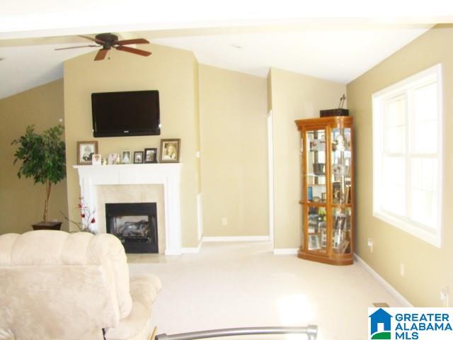 800 Brooks Lake Road Lincoln, AL 35096 - Photo 18 of 33