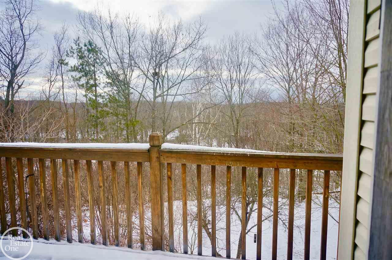 2839 Flint River Road Lapeer, MI 48446 - Photo 23 of 41 Master Bedroom Porch