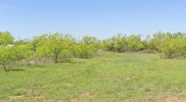 $25,000 | Tbd Haynes Street, Merkel, TX 79536