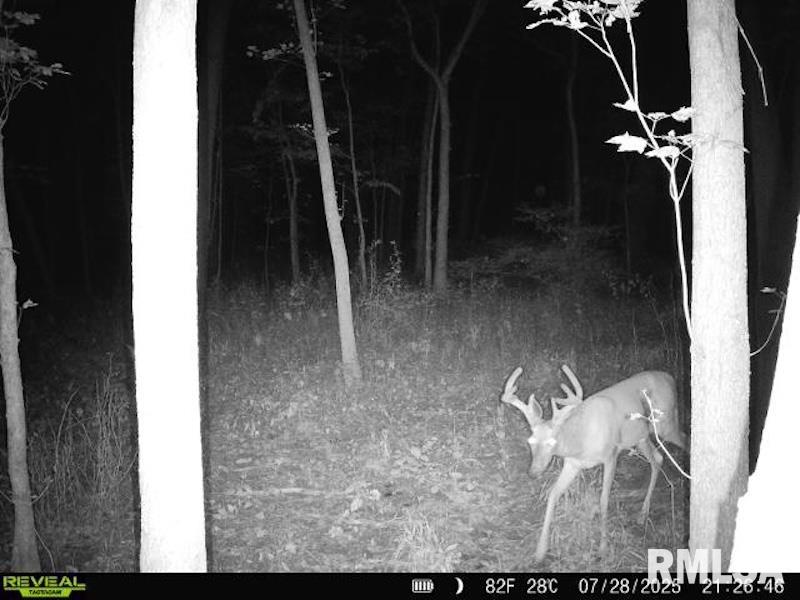 4 4h Road Bridgeport, IL 62417 - Photo 83 of 85