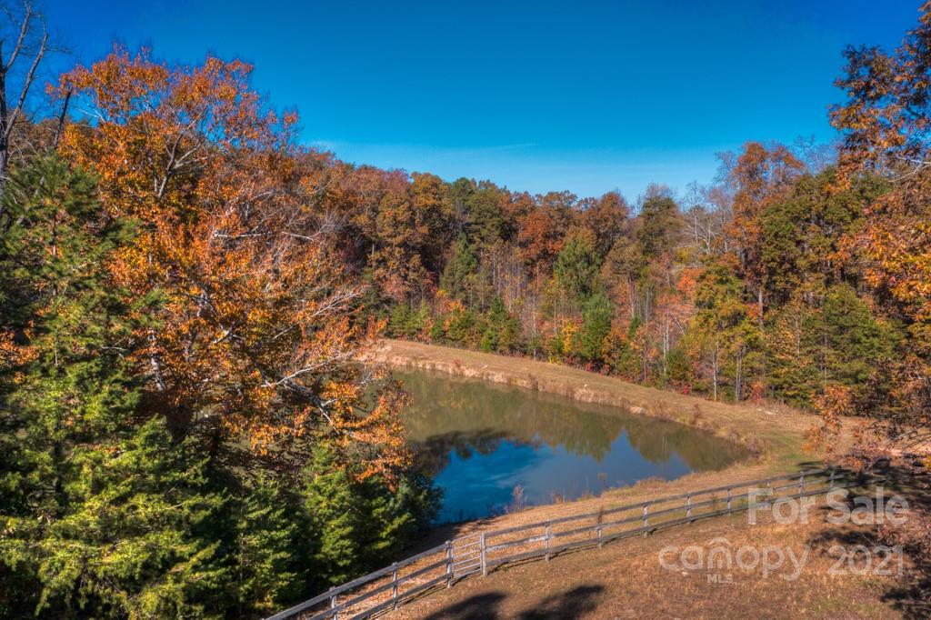 197 Turner Road Tryon, NC 28782 - Photo 9 of 45 a view of a yard with a tree