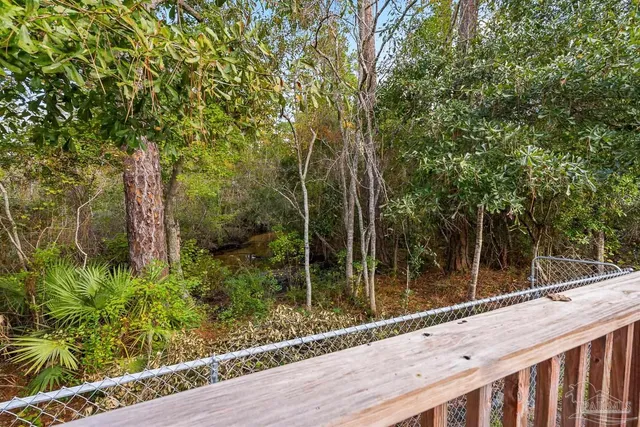 a view of a forest with lots of trees