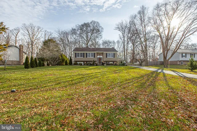 a view of a swimming pool with lawn chairs and large trees