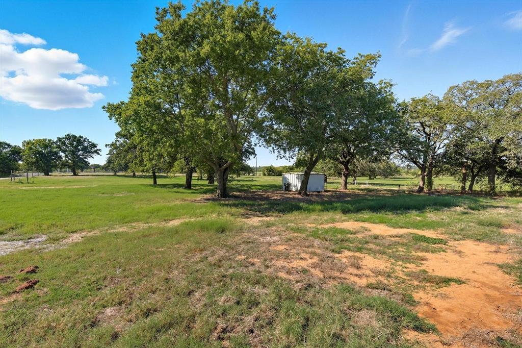 120 Longbranch Road Nocona, TX 76255 - Photo 20 of 23 a view of park with trees
