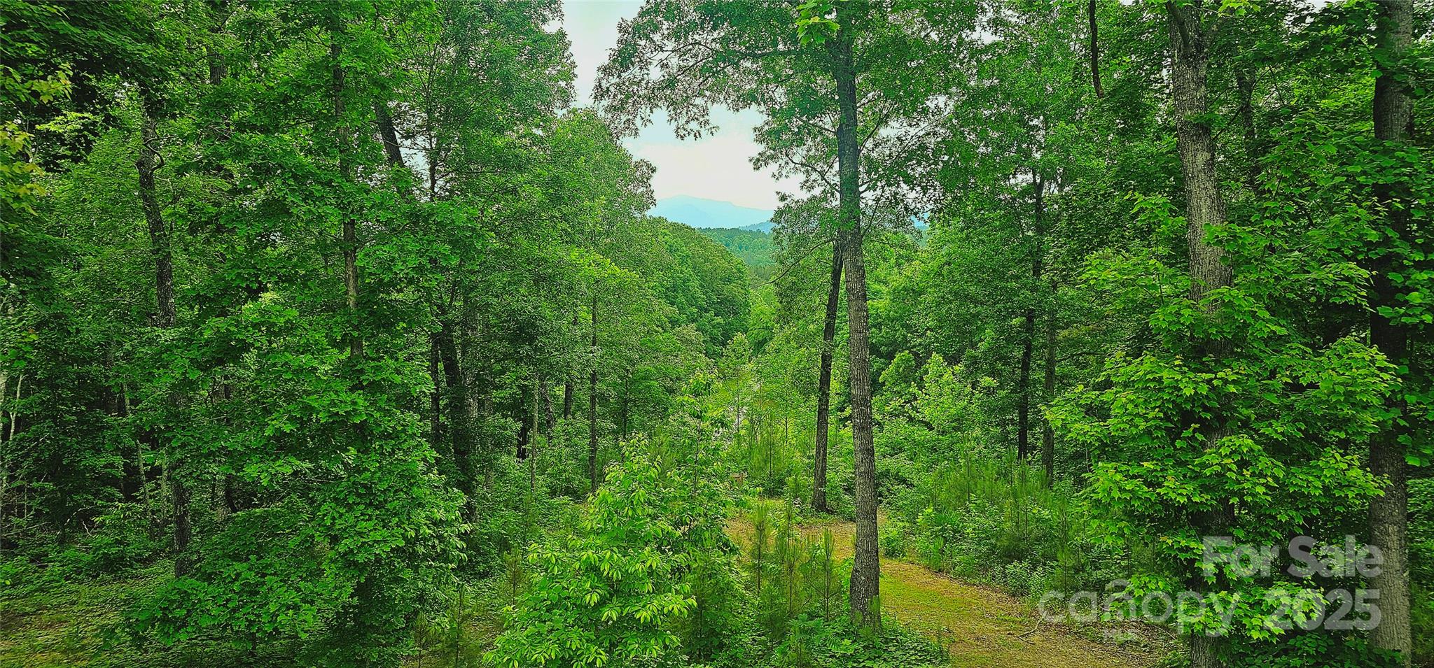 1171 Clark Road Rutherfordton, NC 28139 - Photo 41 of 45