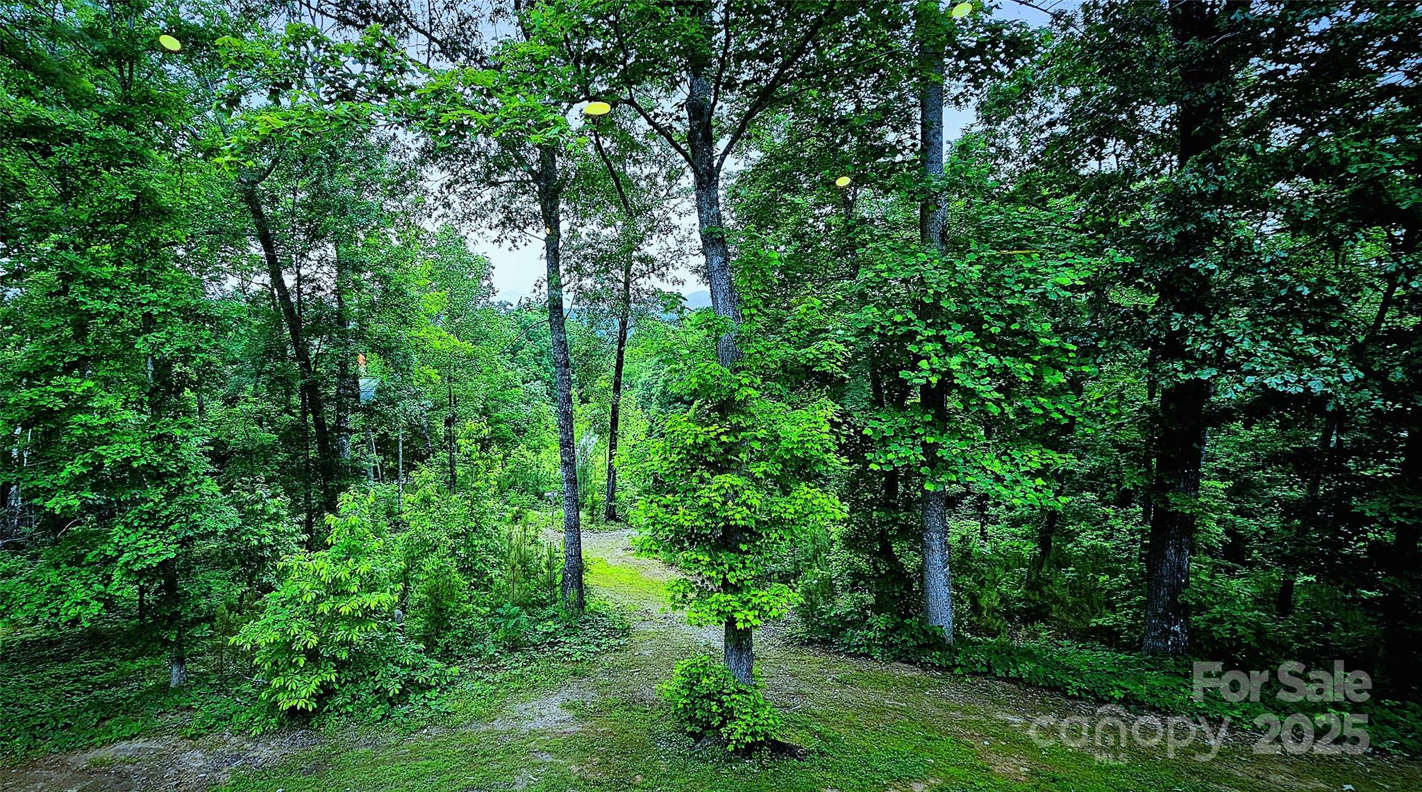 1171 Clark Road Rutherfordton, NC 28139 - Photo 43 of 45