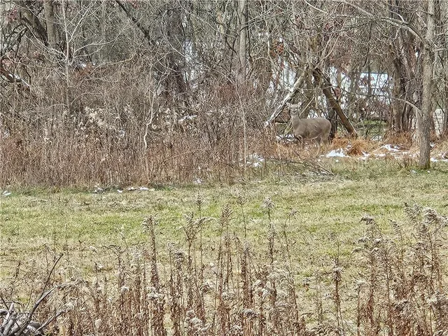 $125,000 | 2505-lot 2 Guffey, North Huntingdon, PA 15642