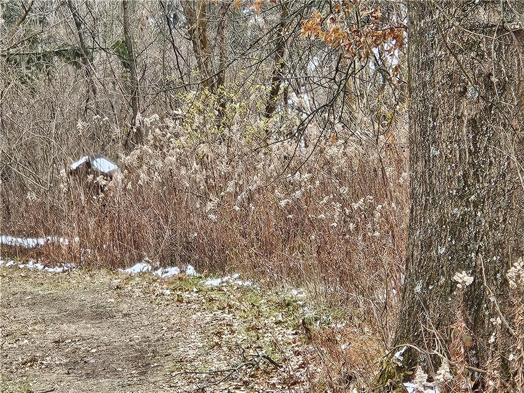 2 Guffey North Huntingdon, PA 15642 - Photo 2 of 6 a view of a dry yard
