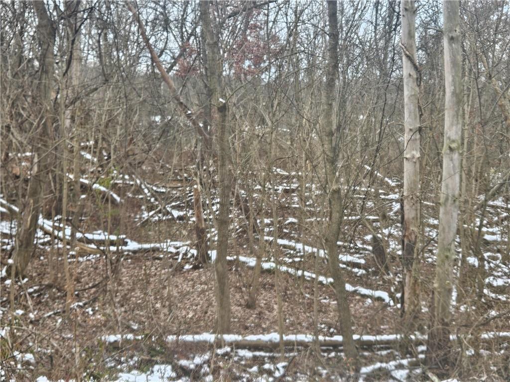 2 Guffey North Huntingdon, PA 15642 - Photo 4 of 6 a picture of tree