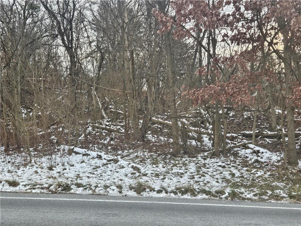 2 Guffey North Huntingdon, PA 15642 - Photo 6 of 6 a view of a yard with large trees