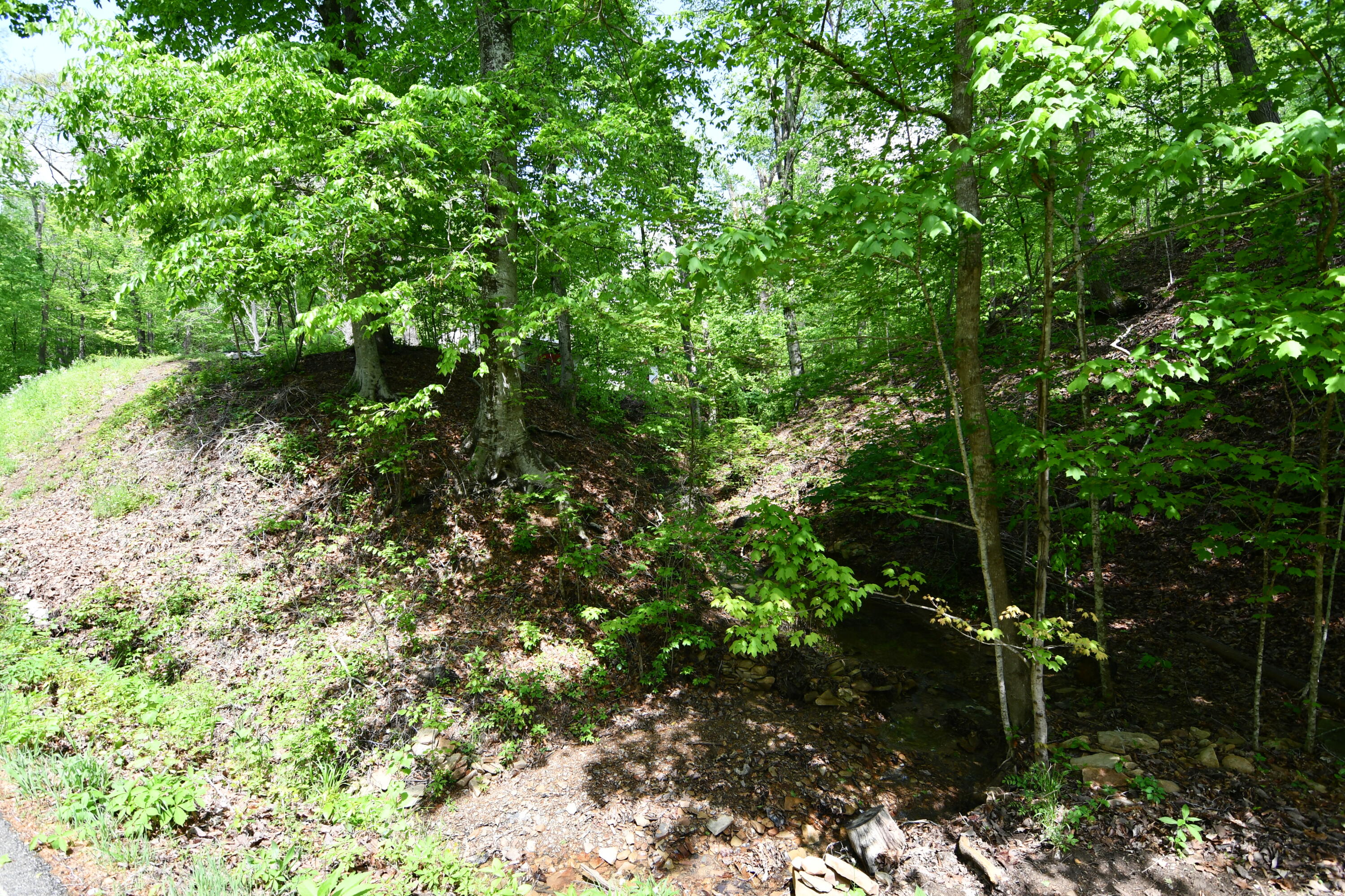 1290 Lower Licking Road Morehead, KY 40351 - Photo 24 of 26 DSC_7204
