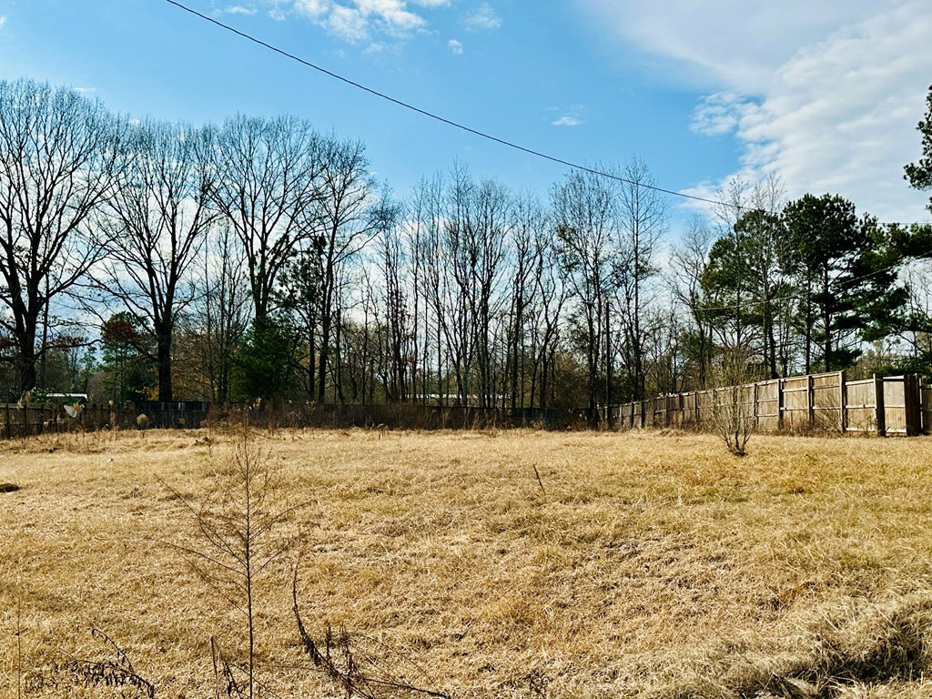239 Highland Road Centreville, MS 39631 - Photo 7 of 9 Photo 7