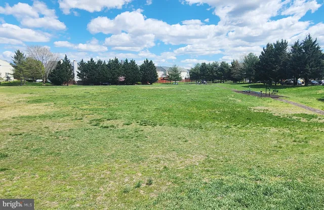 a park with lots of green space and trees