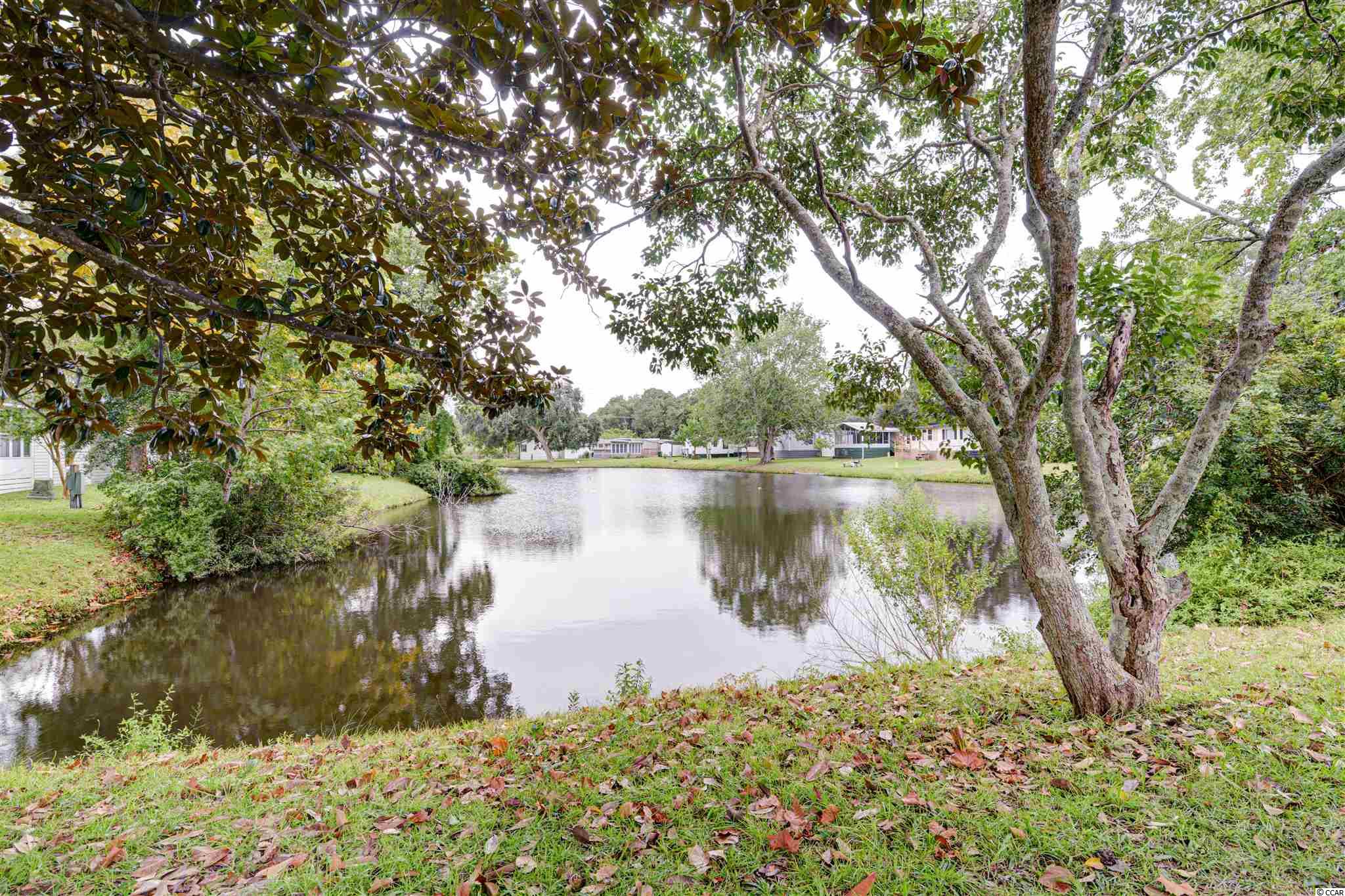 160 Dubose Loop Murrells Inlet, SC 29576 - Photo 22 of 39