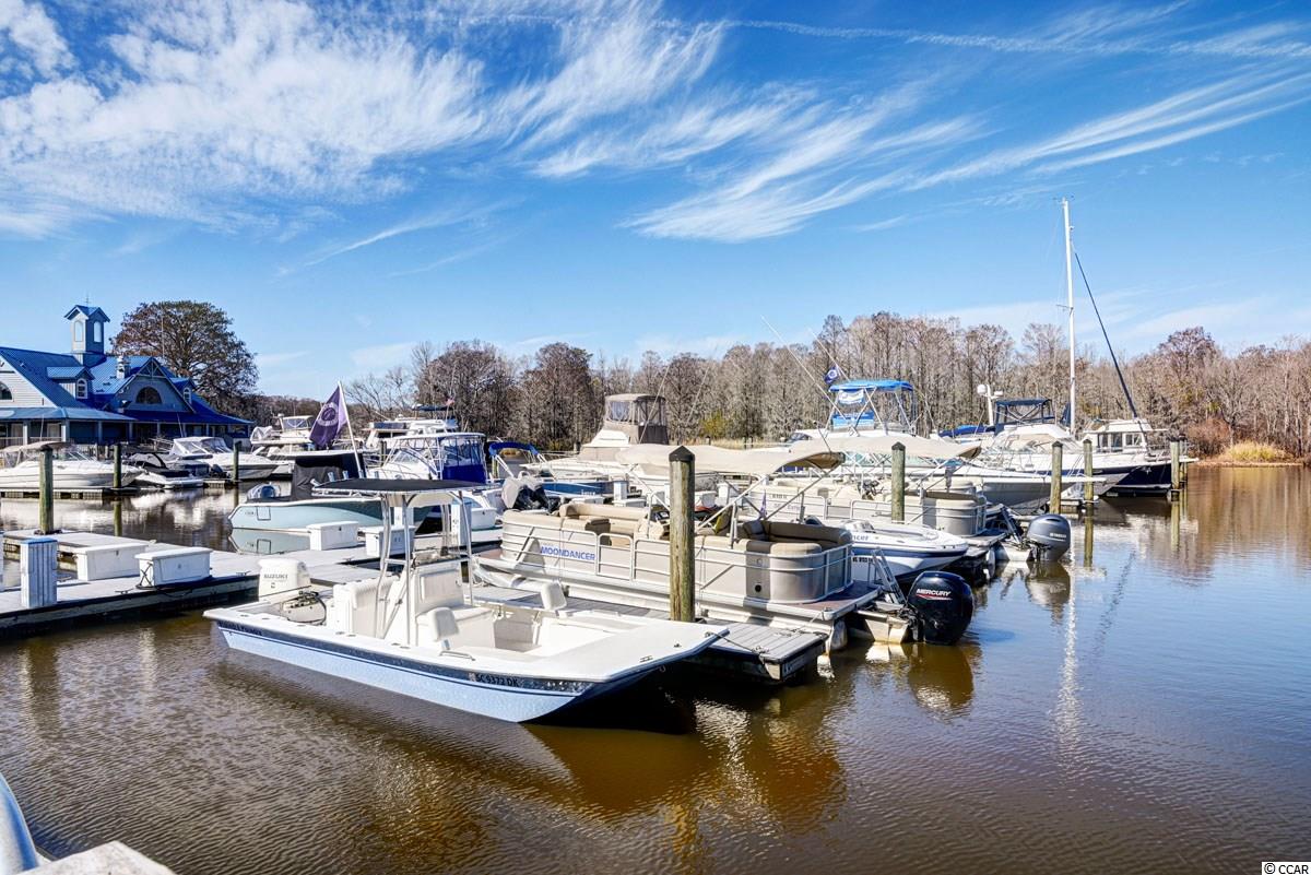 160 Dubose Loop Murrells Inlet, SC 29576 - Photo 39 of 39