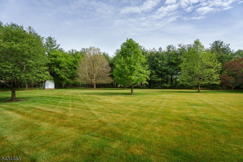 110 Orchard Road Skillman, NJ 08558 - Photo 37 of 43 a view of a yard