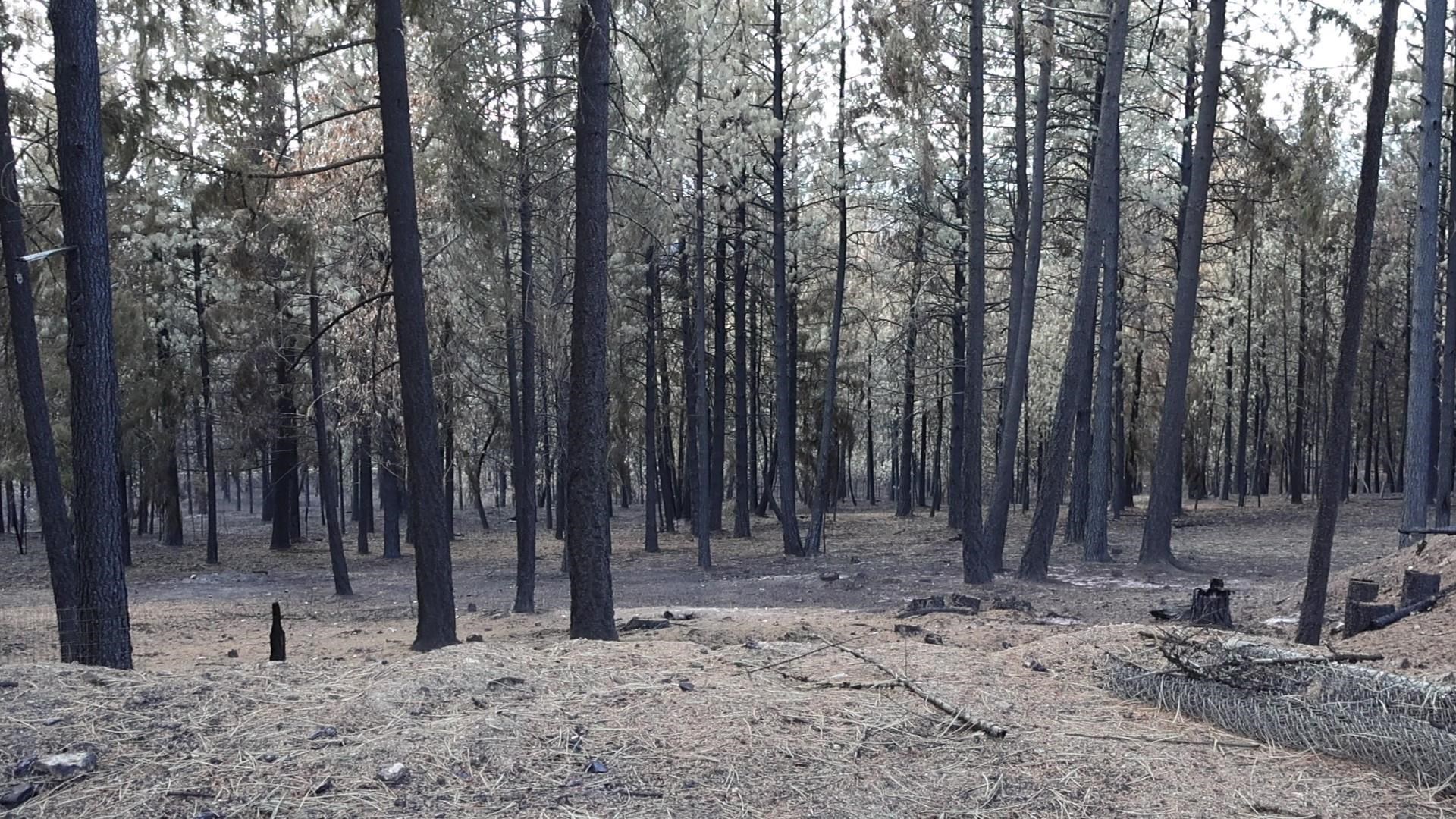 16512 East Oregon Road Elk, WA 99009 - Photo 24 of 49