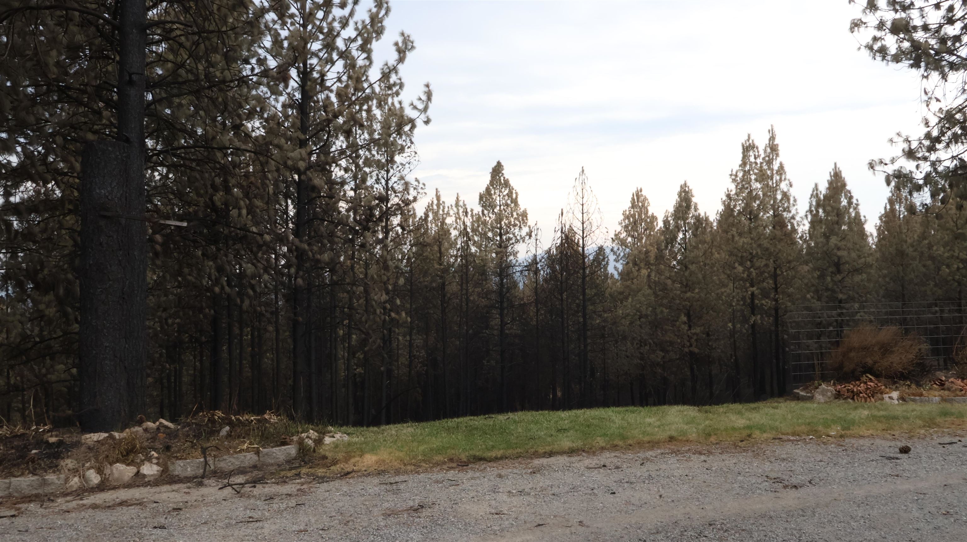 16512 East Oregon Road Elk, WA 99009 - Photo 26 of 49
