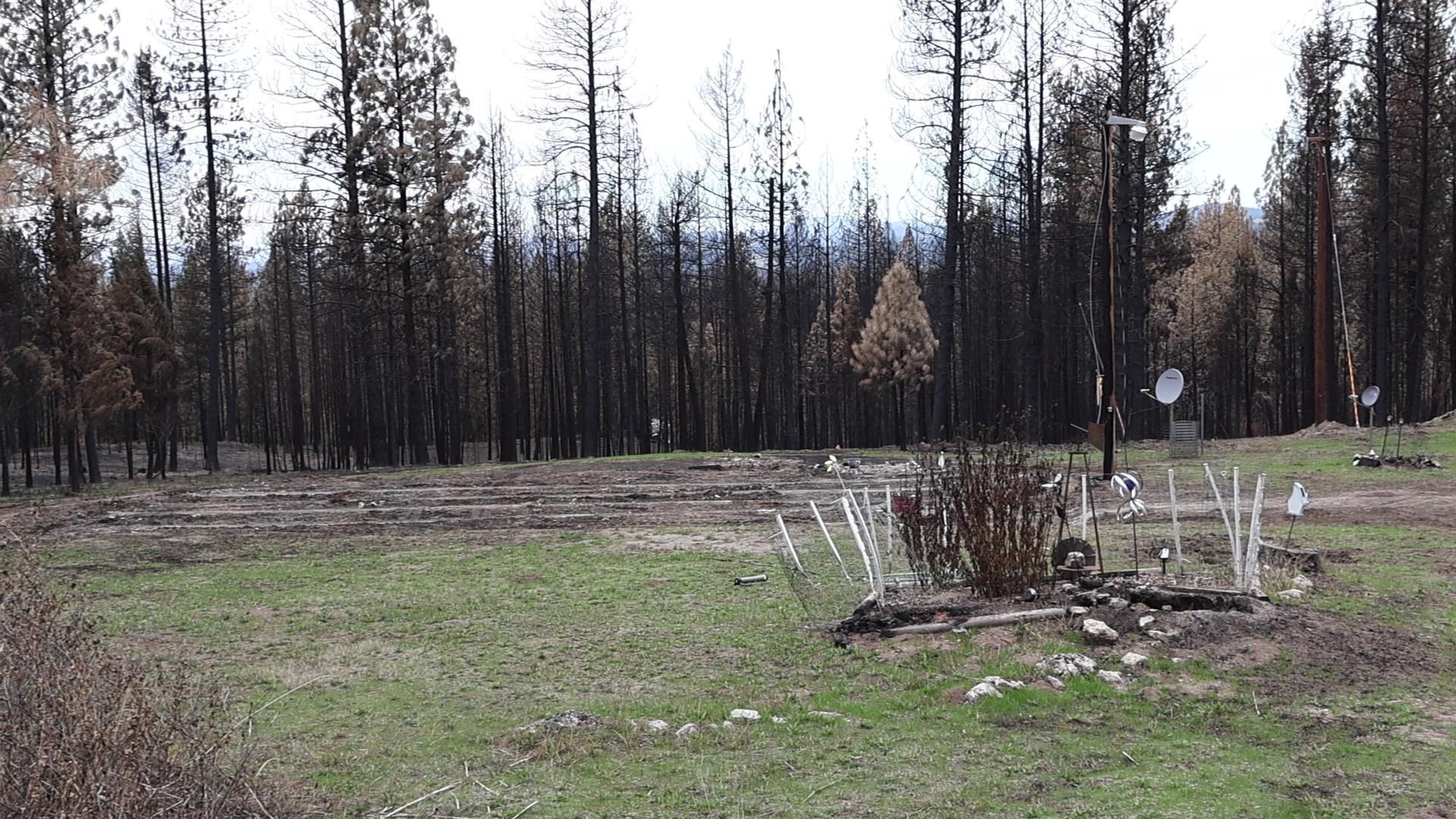 16512 East Oregon Road Elk, WA 99009 - Photo 3 of 49