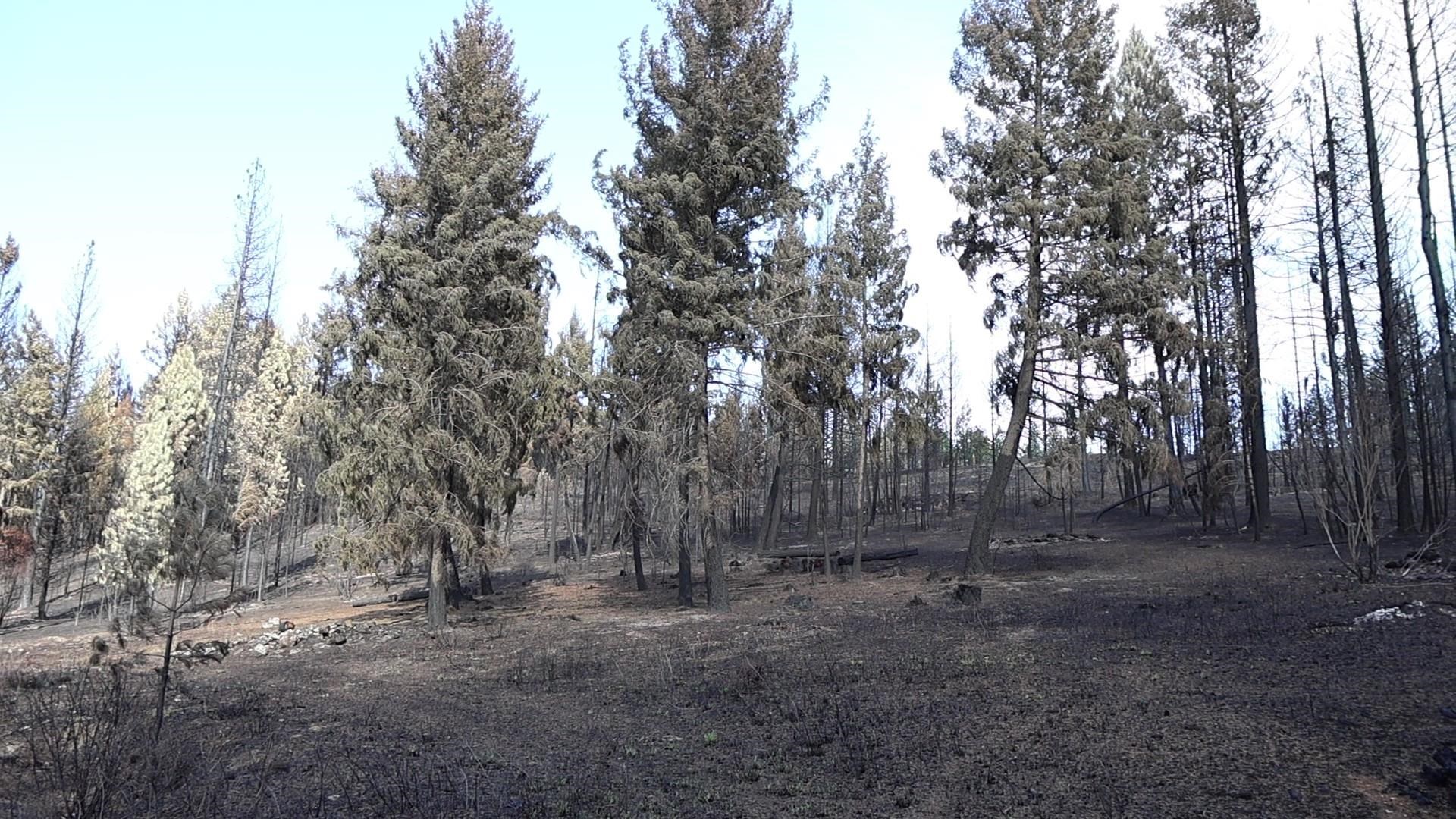 16512 East Oregon Road Elk, WA 99009 - Photo 38 of 49