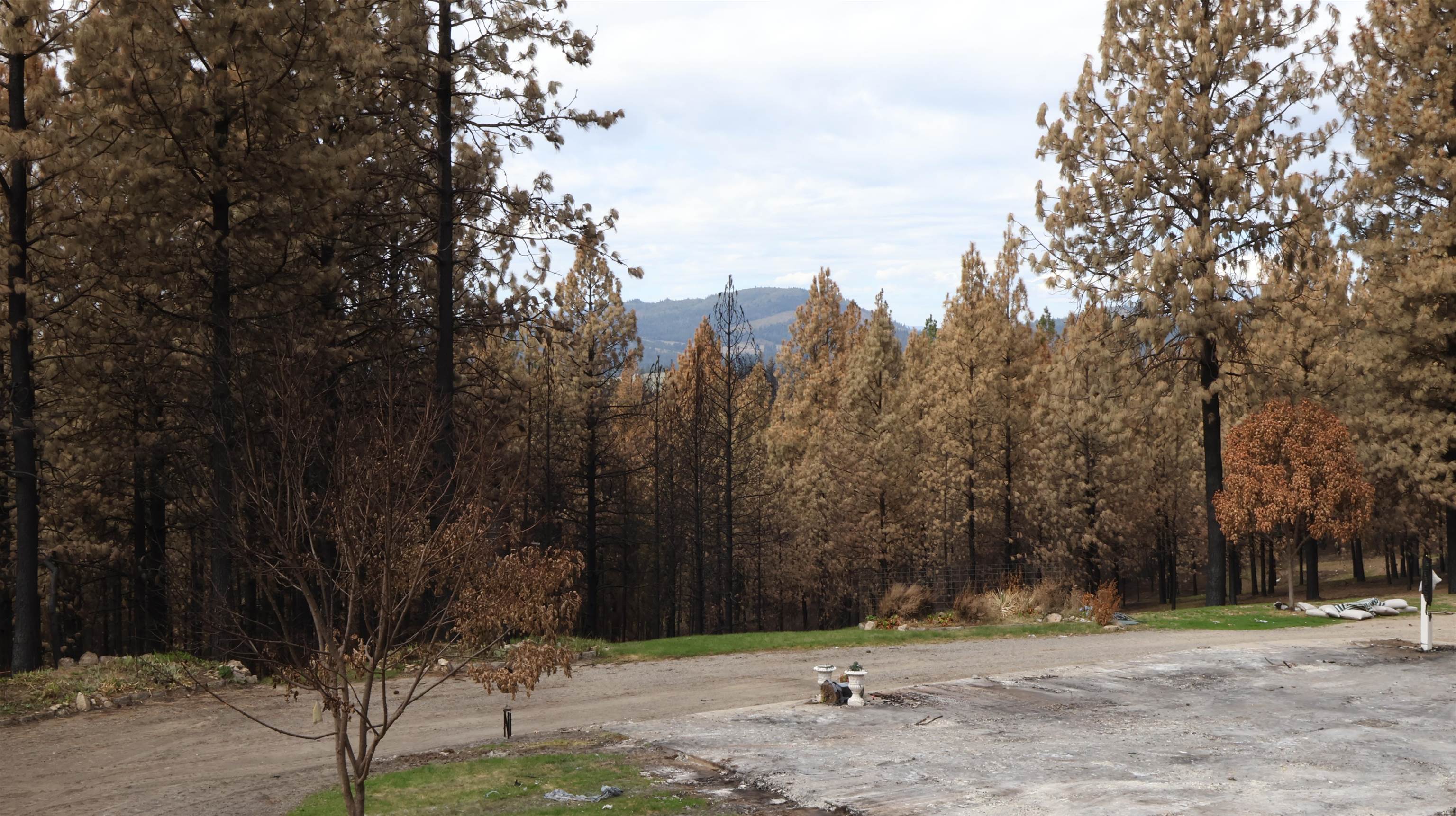16512 East Oregon Road Elk, WA 99009 - Photo 4 of 49