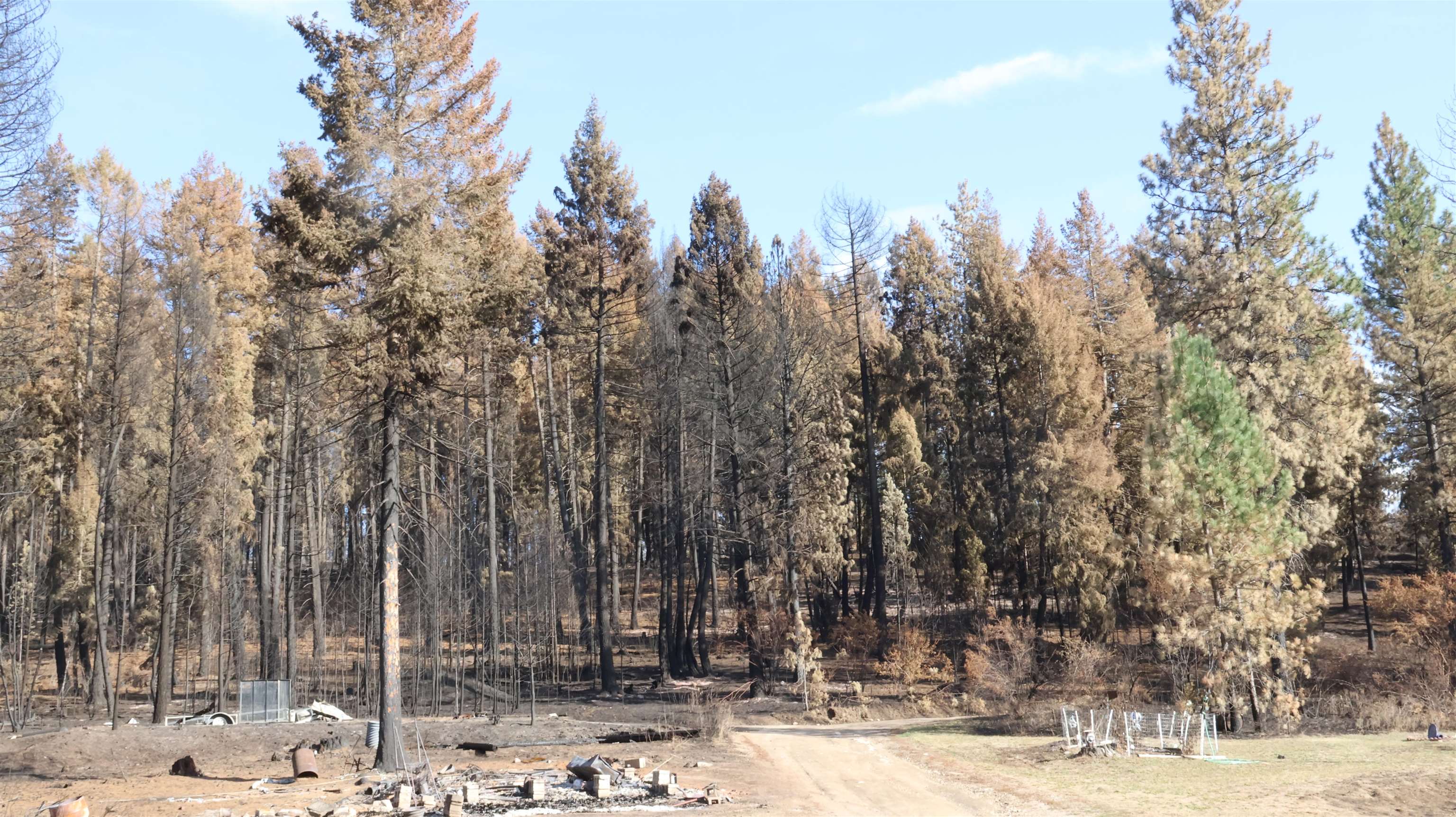 16512 East Oregon Road Elk, WA 99009 - Photo 5 of 49